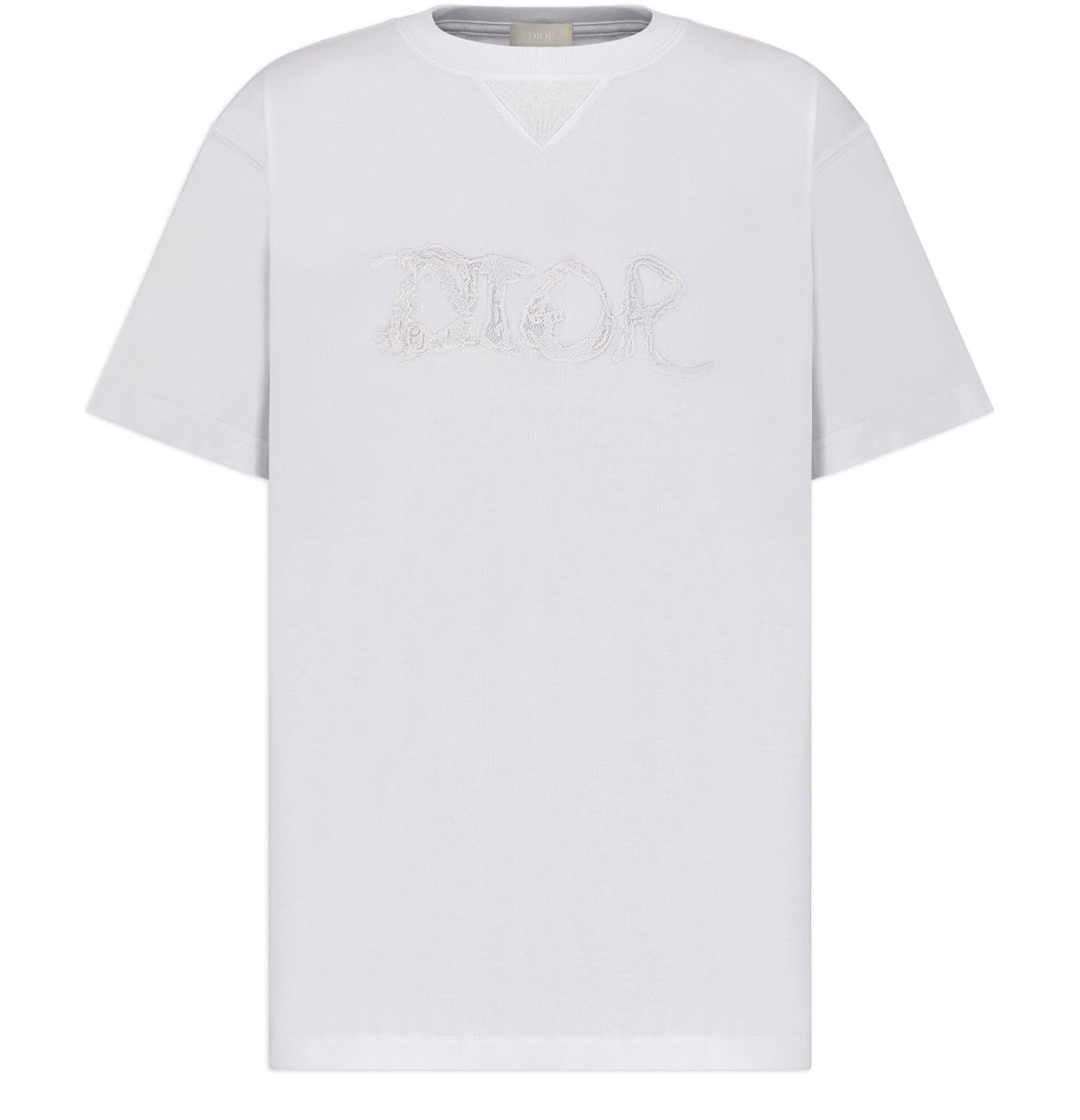 Dior X Peter Doig Oversized Logo T-shirt in Black for Men